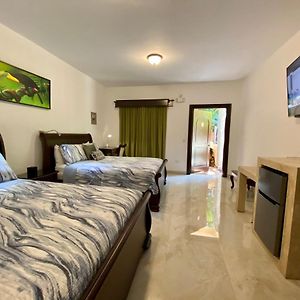 Luxury Room 2 Queen Beds